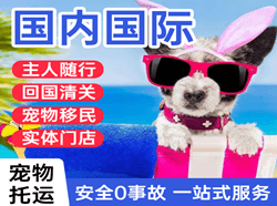 普陀山机场托运国际宠物托运 【国